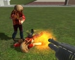 Dmod img