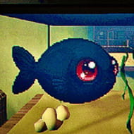 FEED THE FISH img